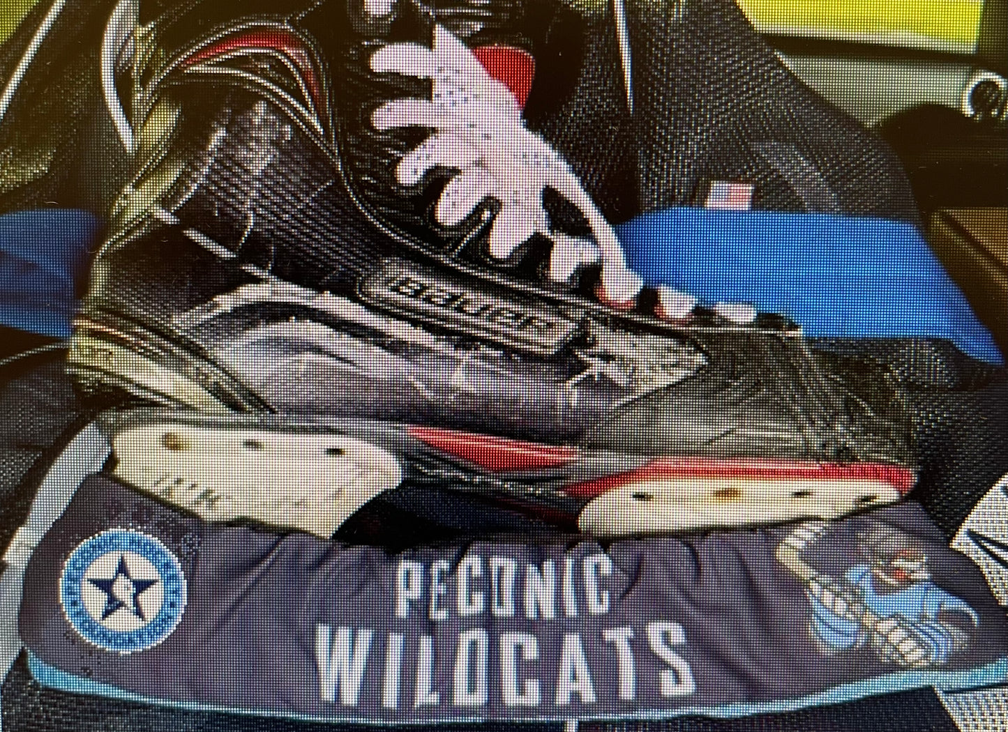 Wildcats Skate Guards